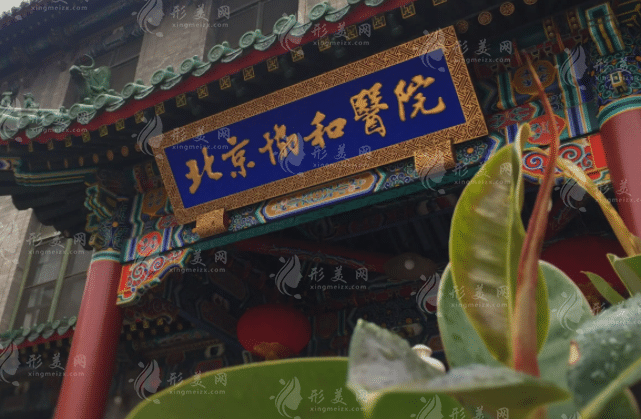 北京協(xié)和醫(yī)院整形外科