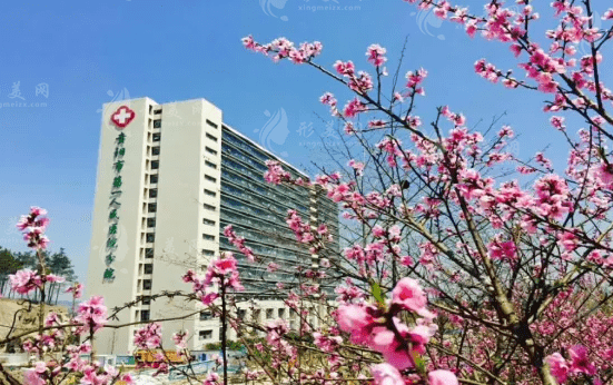 貴陽市第一人民醫(yī)院整形科 貴陽市第一人民醫(yī)院整形科