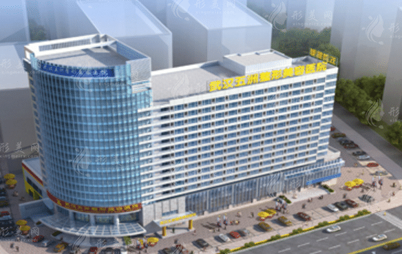 武漢五洲整形外科醫(yī)院 武漢五洲整形外科醫(yī)院