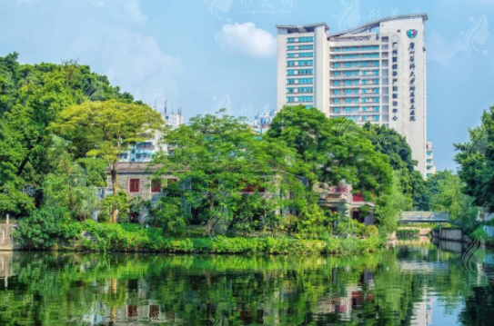 廣醫(yī)三院口腔科