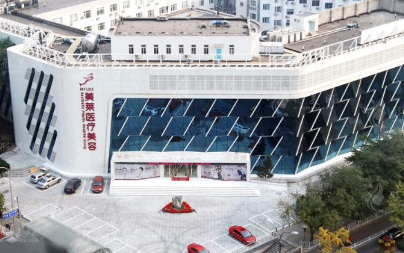 北京美萊醫(yī)療美容醫(yī)院 北京美萊醫(yī)療美容醫(yī)院