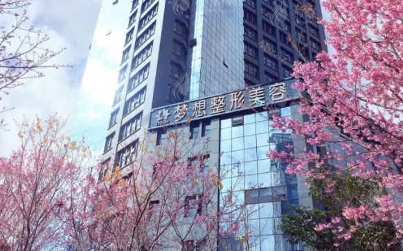 昆明夢想醫(yī)療美容醫(yī)院
