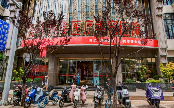 昆明吳氏嘉美 昆明吳氏嘉美