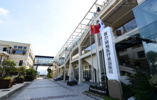 上海首爾麗格醫(yī)療美容醫(yī)院
