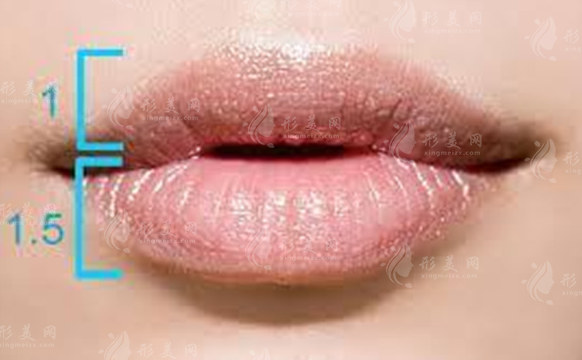 厚唇改薄整形手術(shù)貴嗎？整形風(fēng)險大嗎？