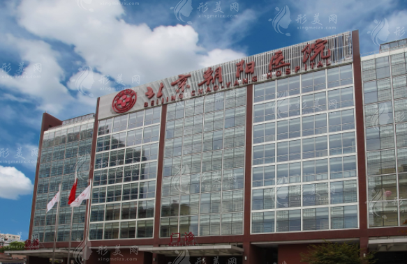 首都醫(yī)科大學附屬北京朝陽醫(yī)院