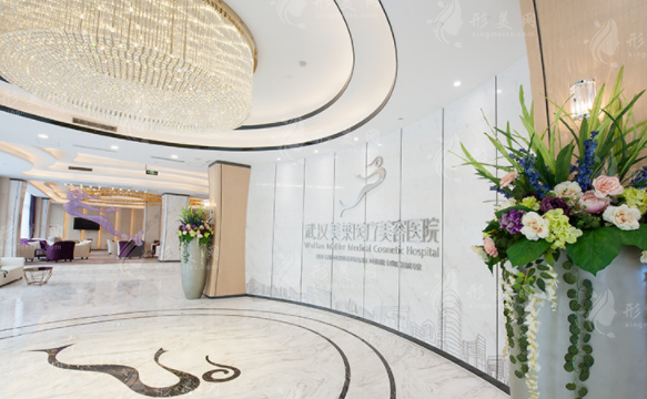 武漢美萊醫(yī)療美容醫(yī)院