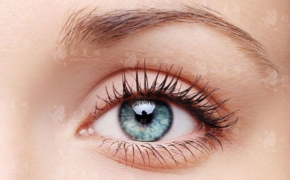 全切與埋線：哪個更漂亮？哪個恢復得快？