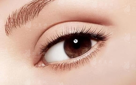 雙眼皮提肌解析：做雙眼皮手術(shù)一定要做提肌嗎？