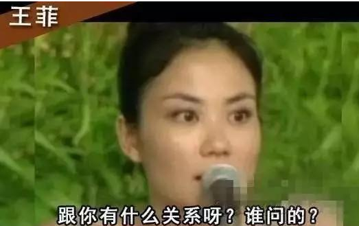 當明星被問整形 王菲回答最霸氣“誰問的”