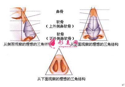 鼻尖整形的價(jià)格是多少，效果怎么樣！